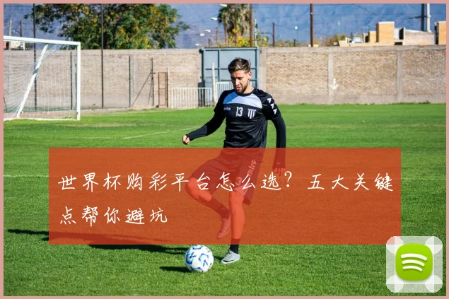 世界杯购彩平台怎么选？五大关键点帮你避坑