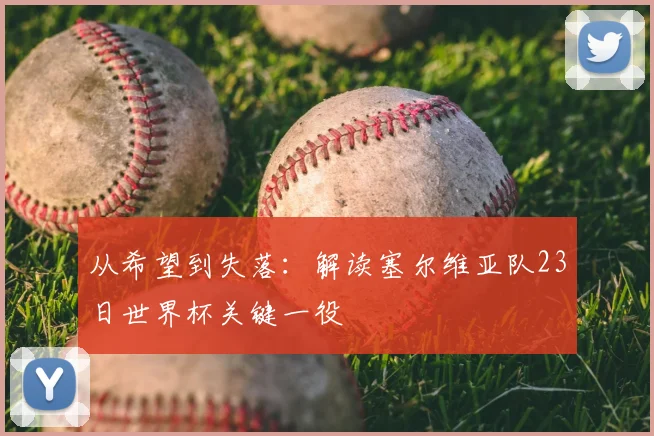 从希望到失落：解读塞尔维亚队23日世界杯关键一役
